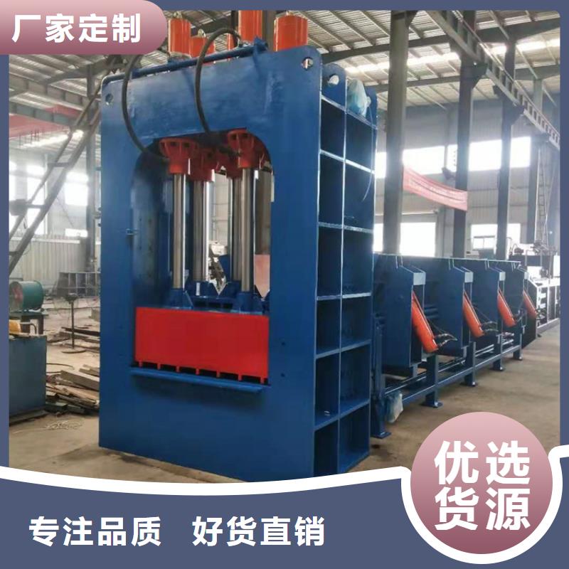 龙门剪液压废纸压包机厂家实拍展现