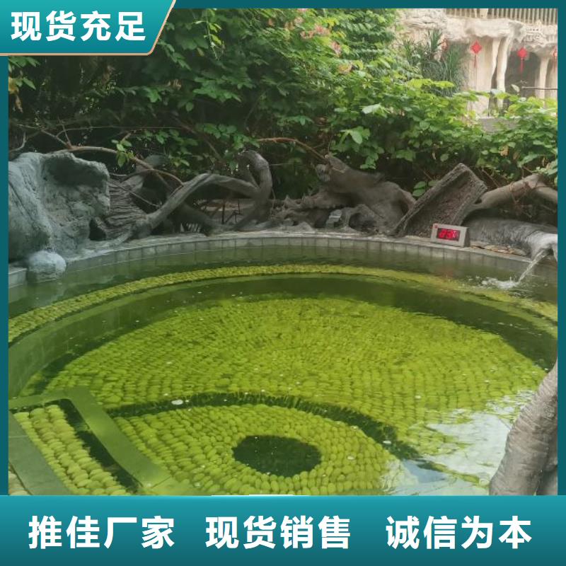 泳池
万宁市
珍珠岩过滤器