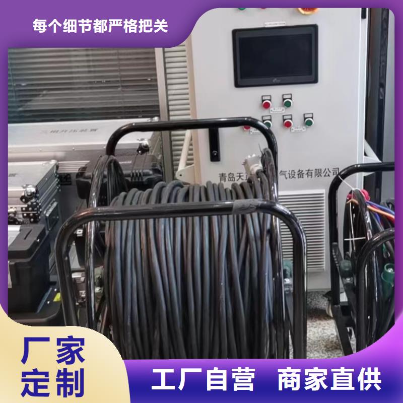 【相位伏安表】-灭磁过电压测试装置批发货源-天正华意电气设备(黔南市分公司)