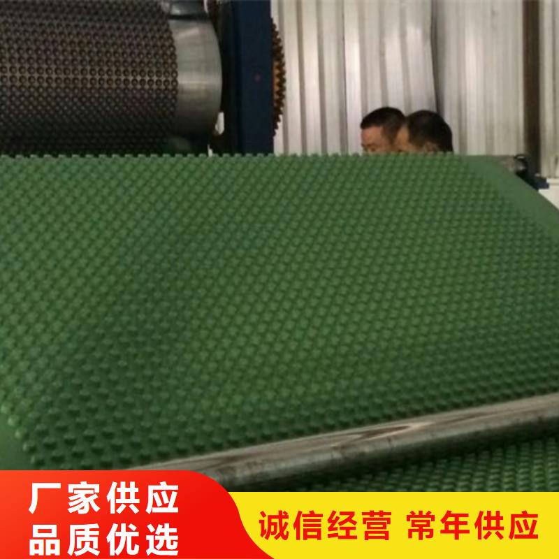 排水板防护虹吸排水收集系统真材实料