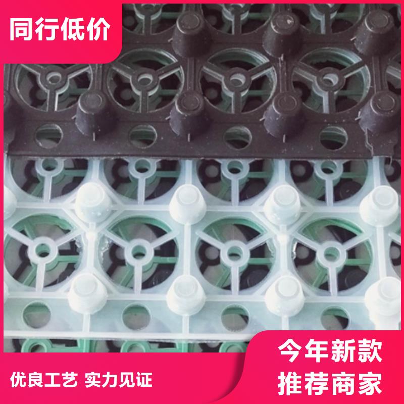 排水板防护虹吸排水收集系统真材实料