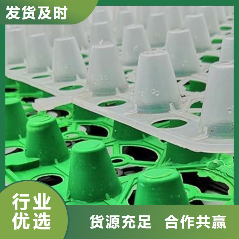 屋顶花园排水板厂家-欢迎咨询
