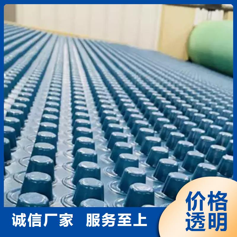 塑料排水板当地供货商