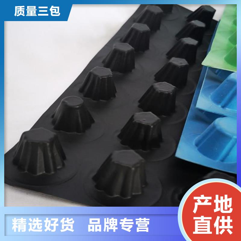 排水板植草格产品参数