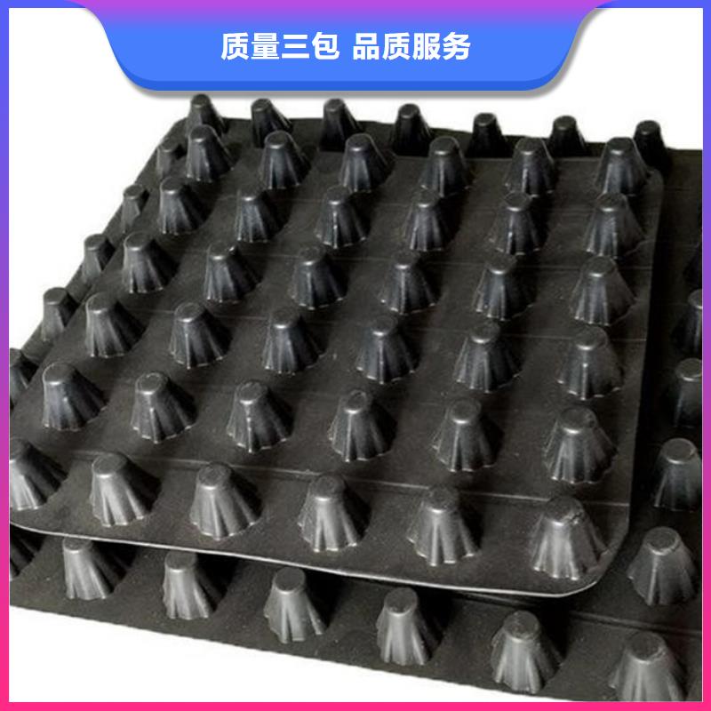 排水板水泥化粪池工厂采购