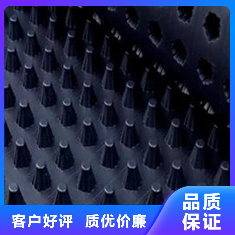 虹吸排水板直供厂家