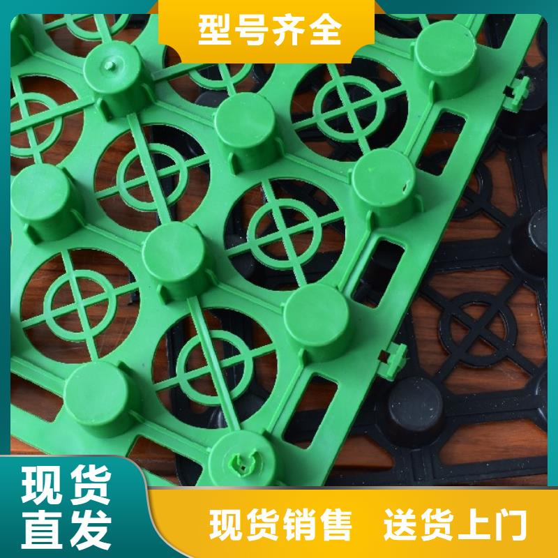 车库排水板-规格全