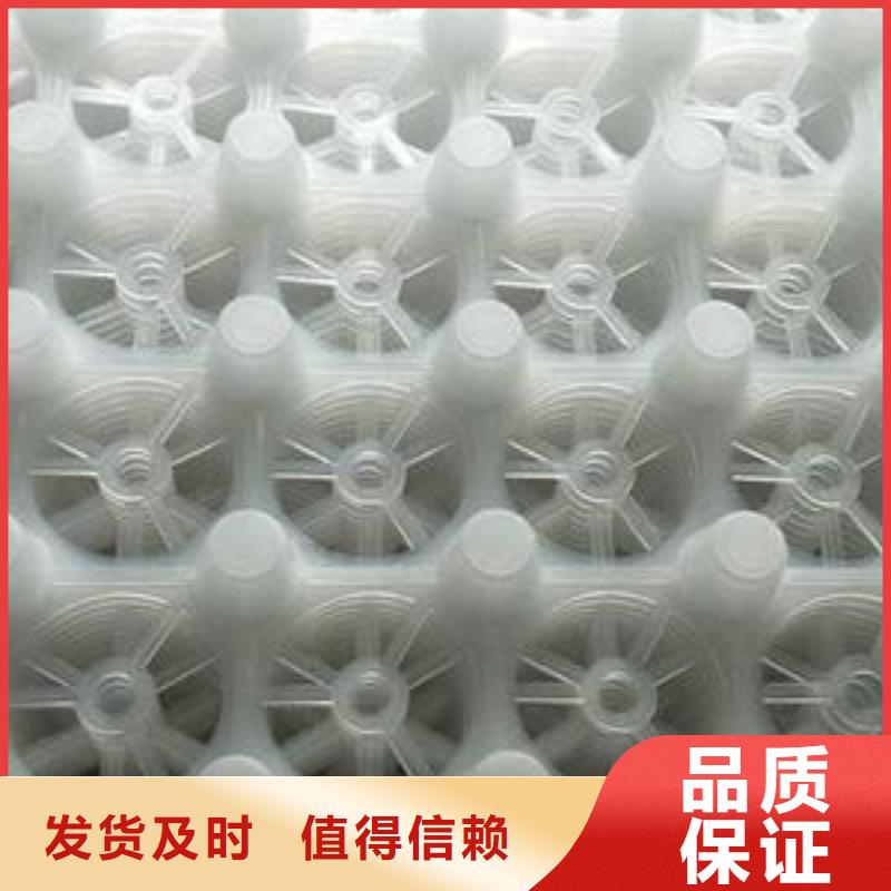 排水板直供厂家