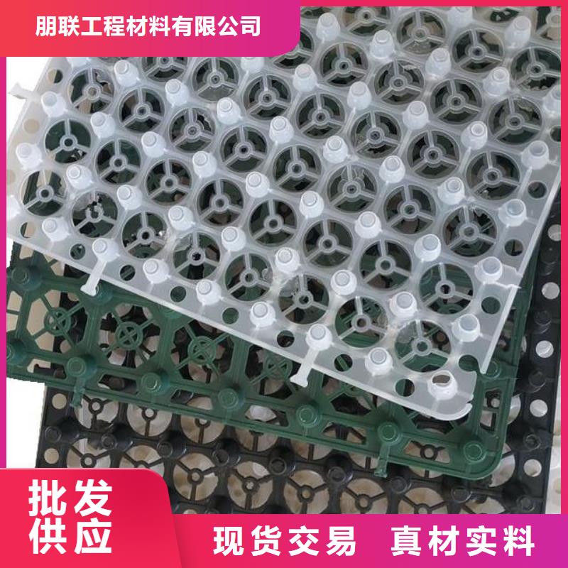 排水板水泥化粪池工厂采购