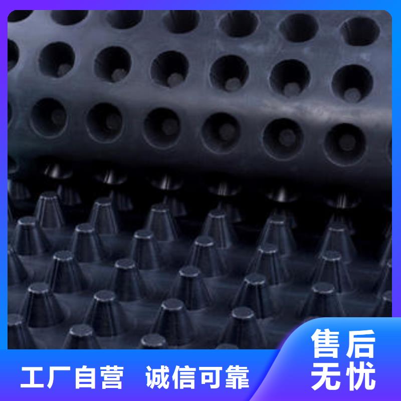 排水板直供厂家