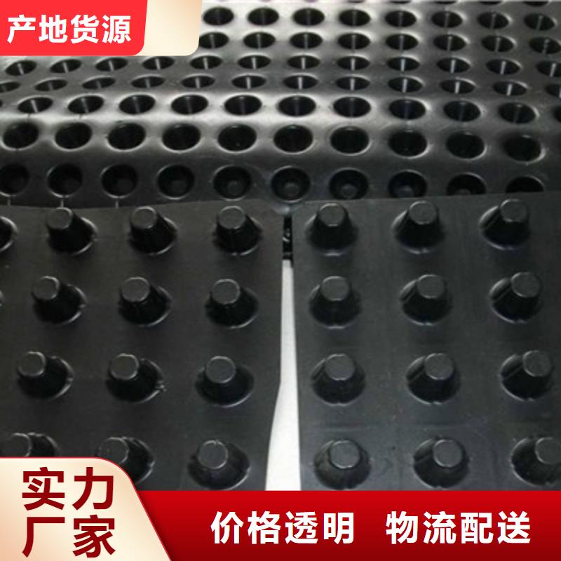 排水板防护虹吸排水收集系统实地大厂