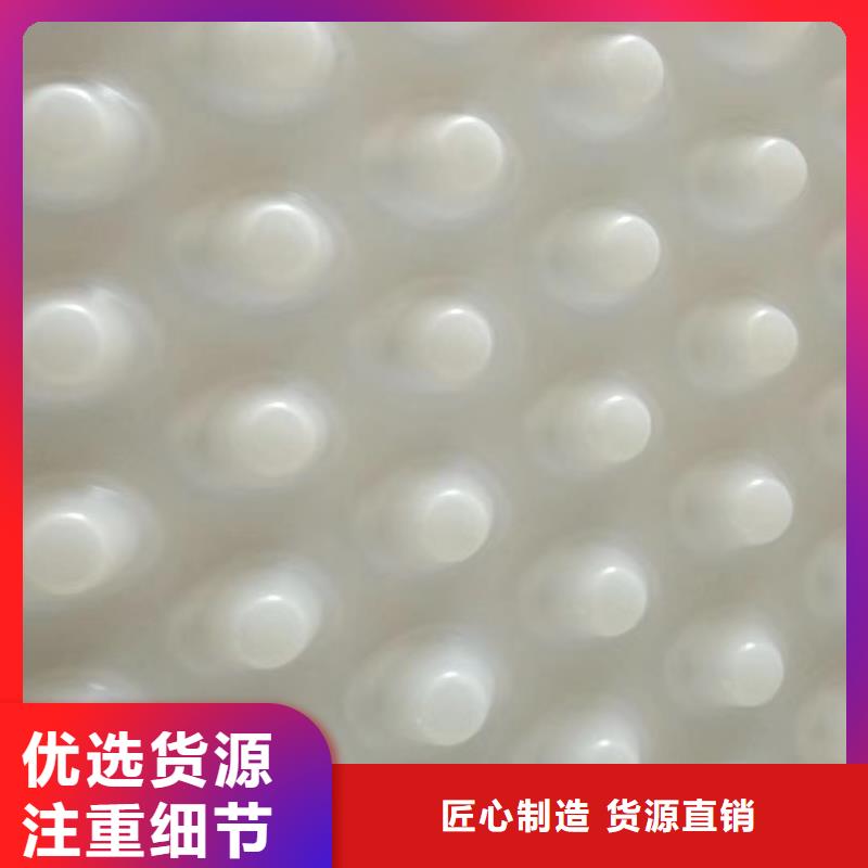 排水板防护虹吸排水收集系统质优价保