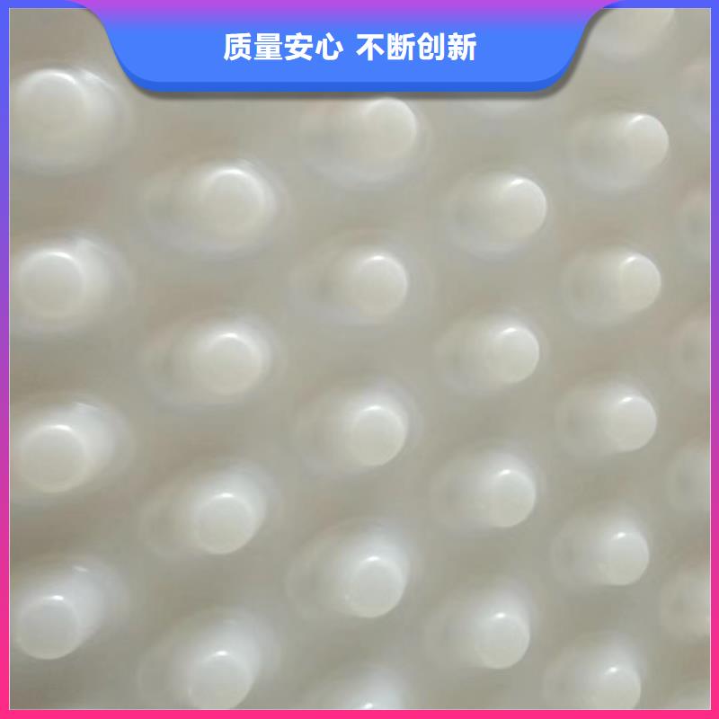 塑料排水板厂家/批发零售