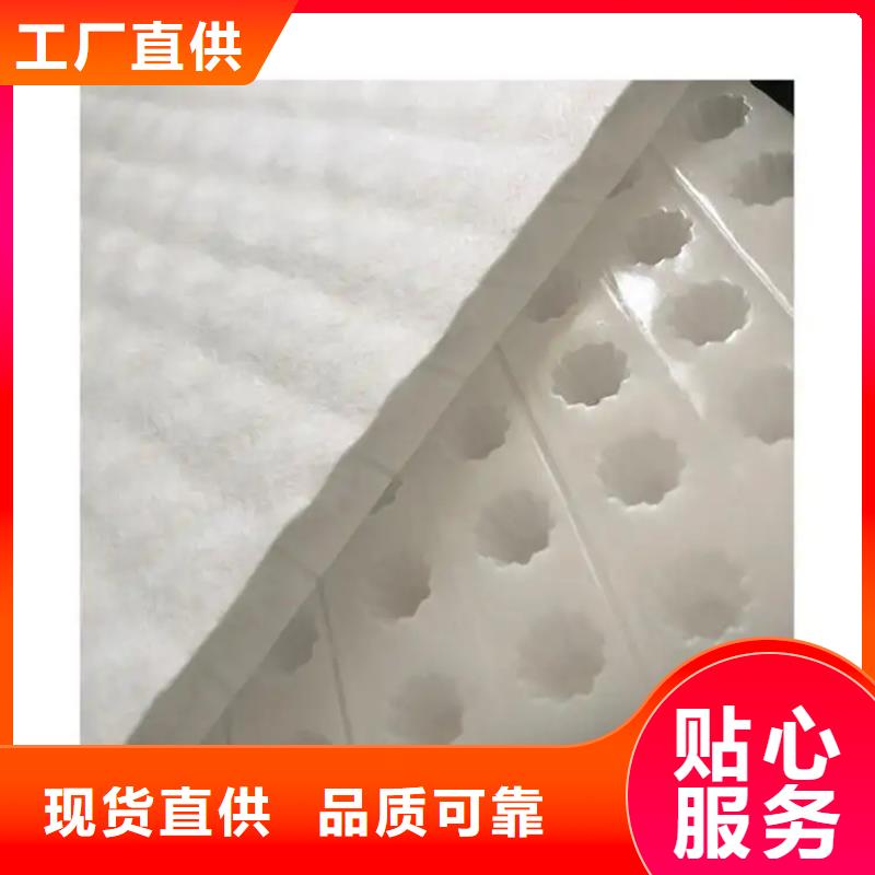 虹吸排水植草格品牌专营