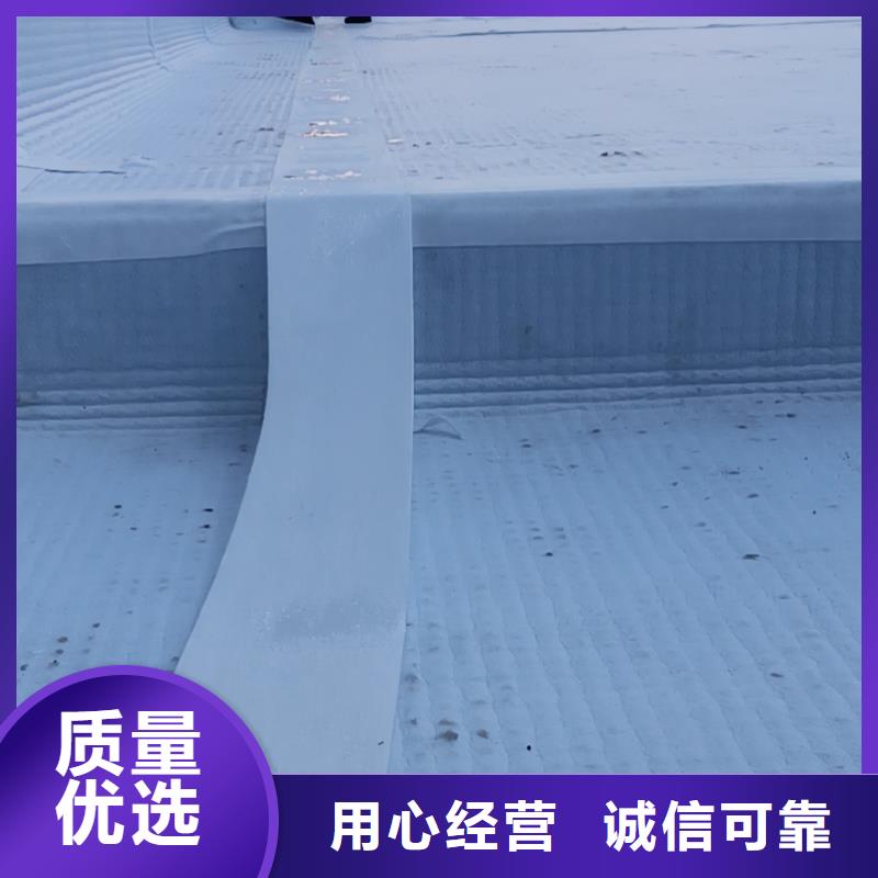 虹吸排水-植草格来图来样定制