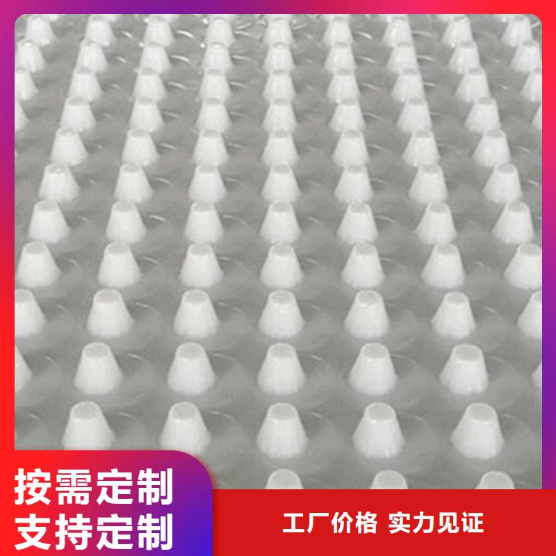 虹吸排水植草格品牌专营