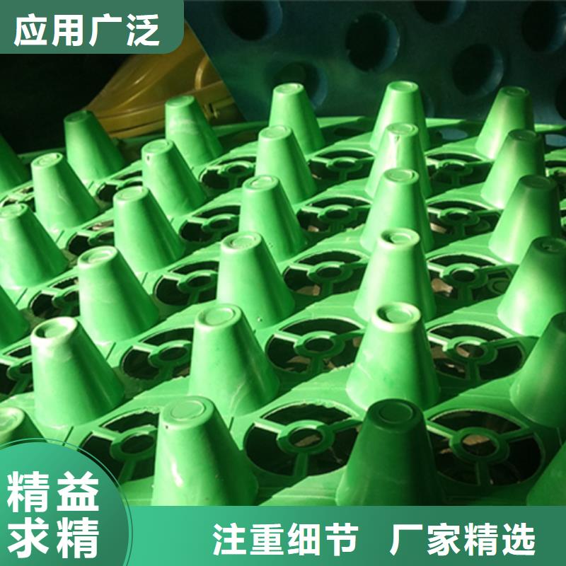 虹吸排水-植草格来图来样定制