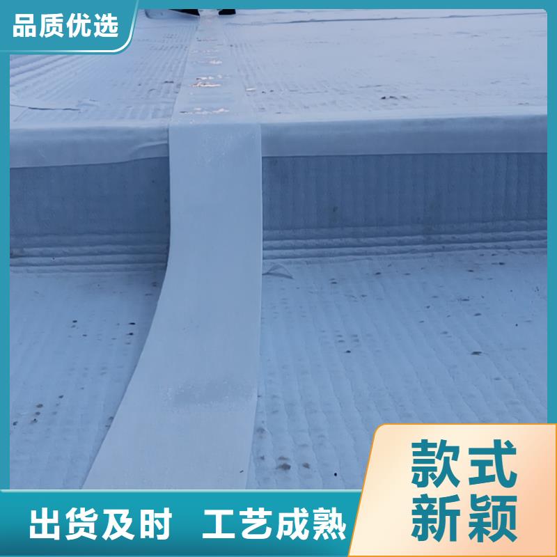 虹吸排水防护虹吸排水收集系统极速发货