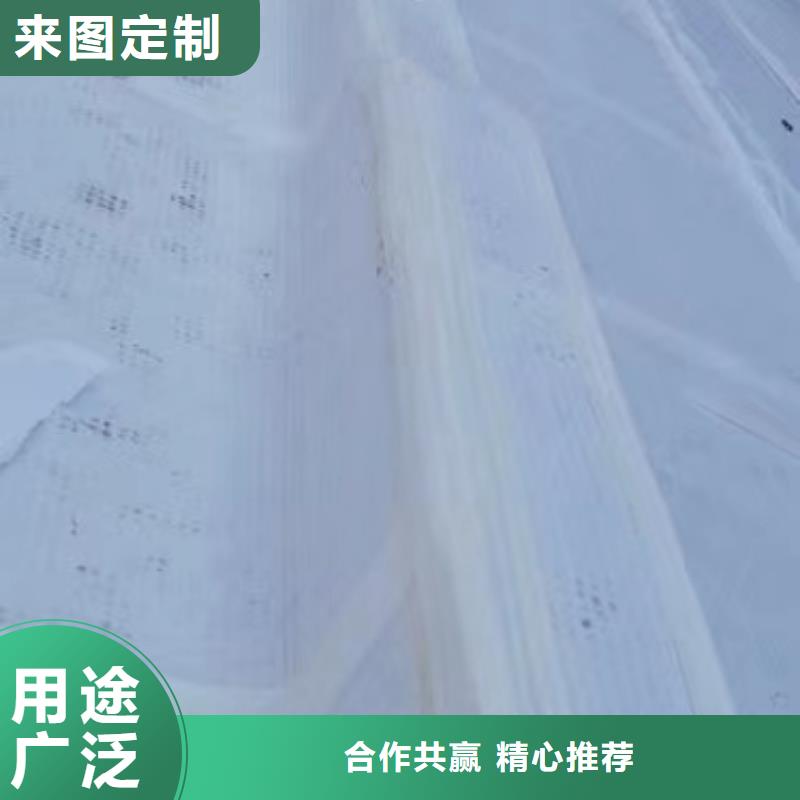 虹吸排水植草格品牌专营