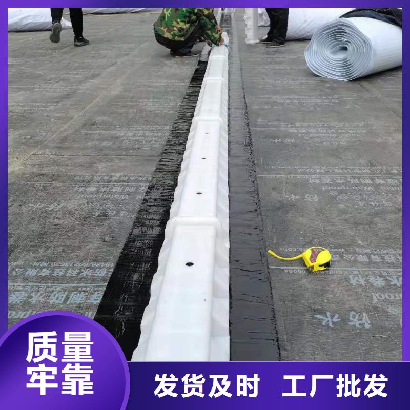 防护虹吸排水收集系统-实业集团