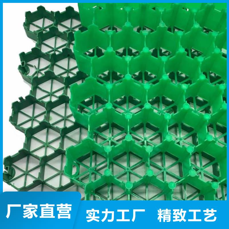 塑料植草格型号全-新品发售