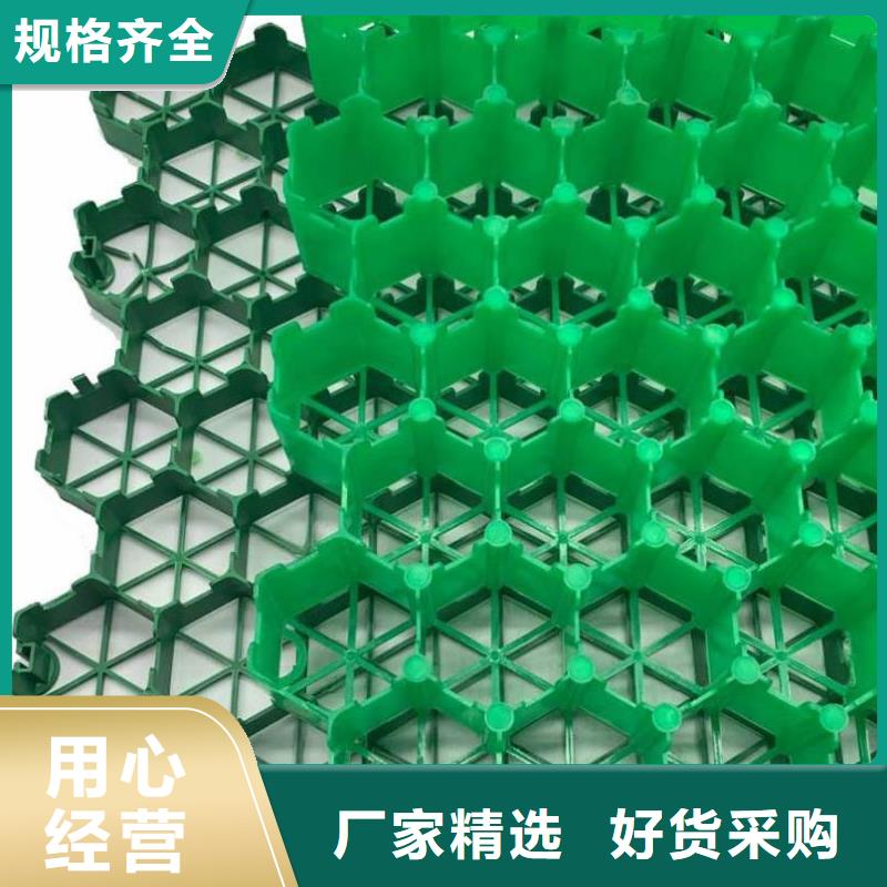 植草格植草格合作共赢