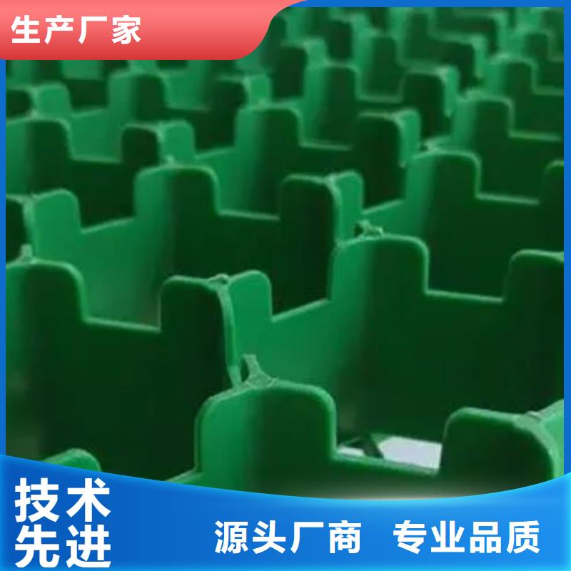 塑料植草格型号全-新品发售