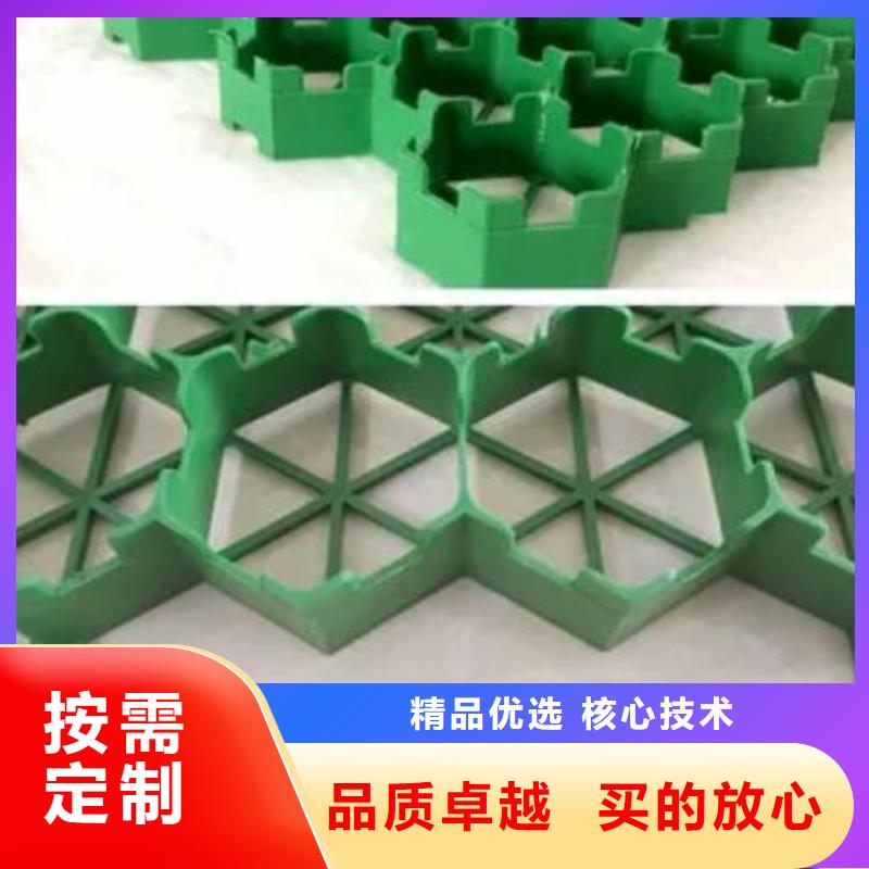塑料植草格型号全-新品发售