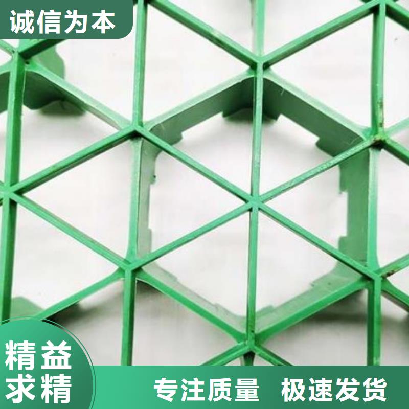 植草格防护虹吸排水收集系统品牌专营