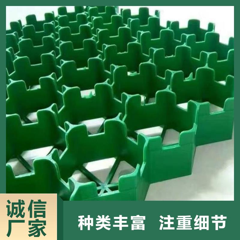 植草格【防护虹吸排水收集系统】现货齐全售后无忧