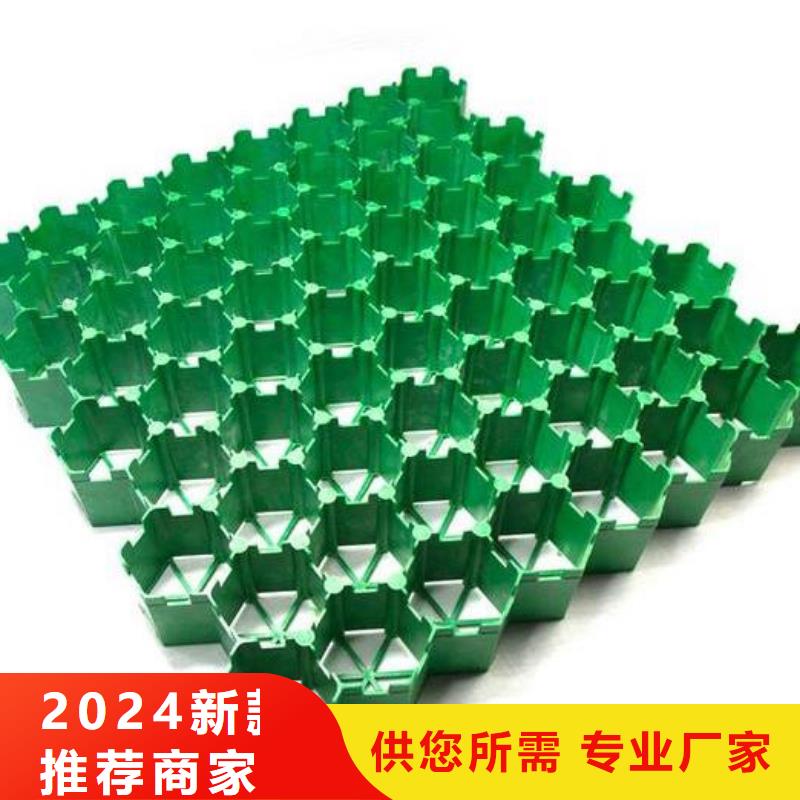 塑料植草格型号全-新品发售