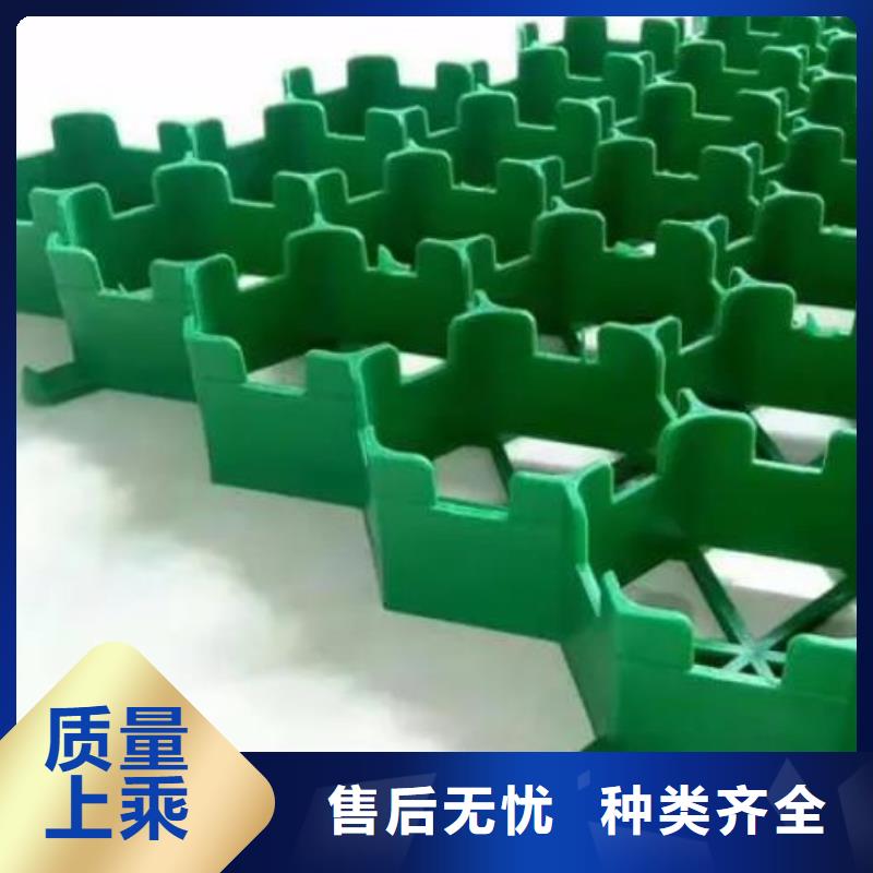 植草格化粪池水泥海量库存