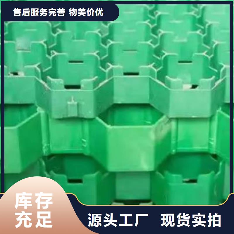 植草格防护虹吸排水收集系统品牌专营