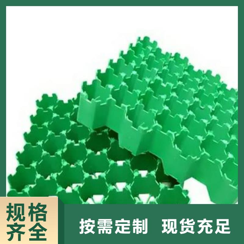 植草格植草格合作共赢