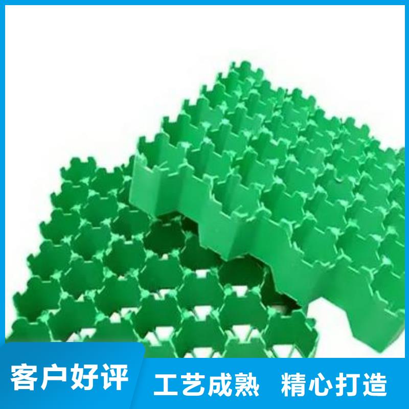 植草格防护虹吸排水收集系统品牌专营