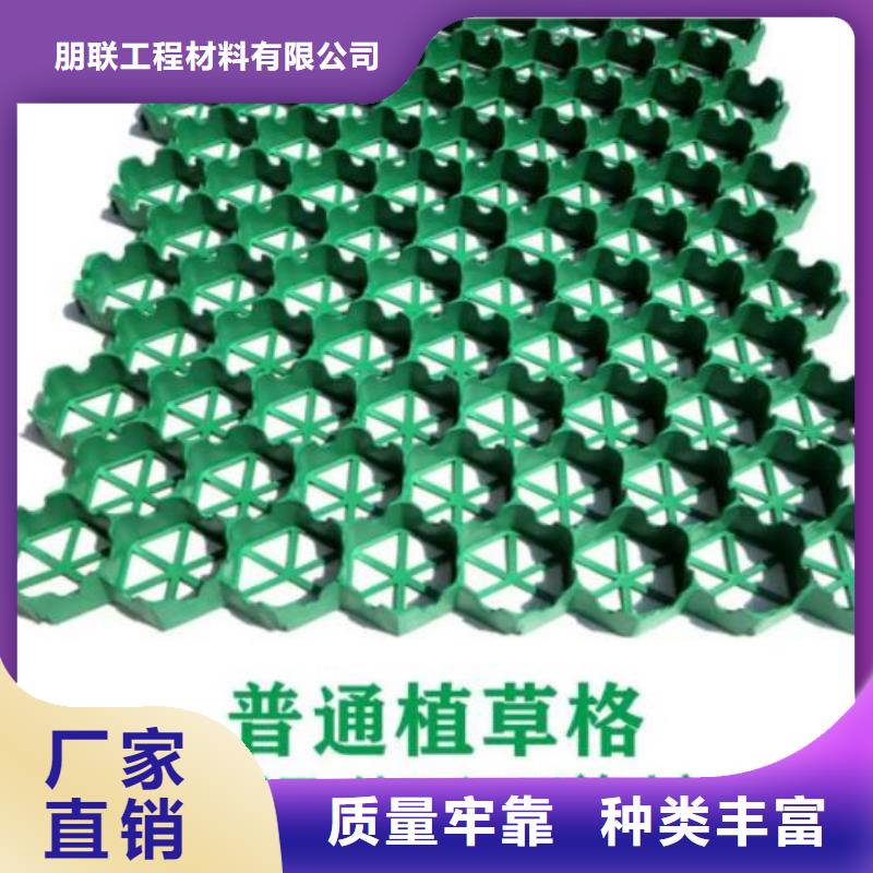 植草格水泥化粪池工厂自营