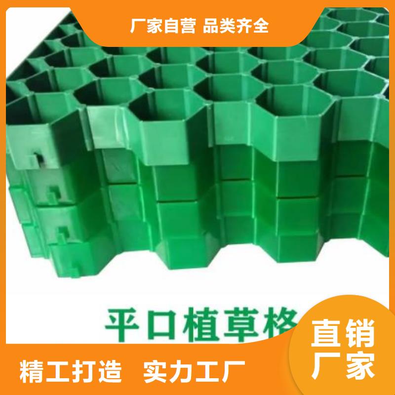 植草格植草格高性价比