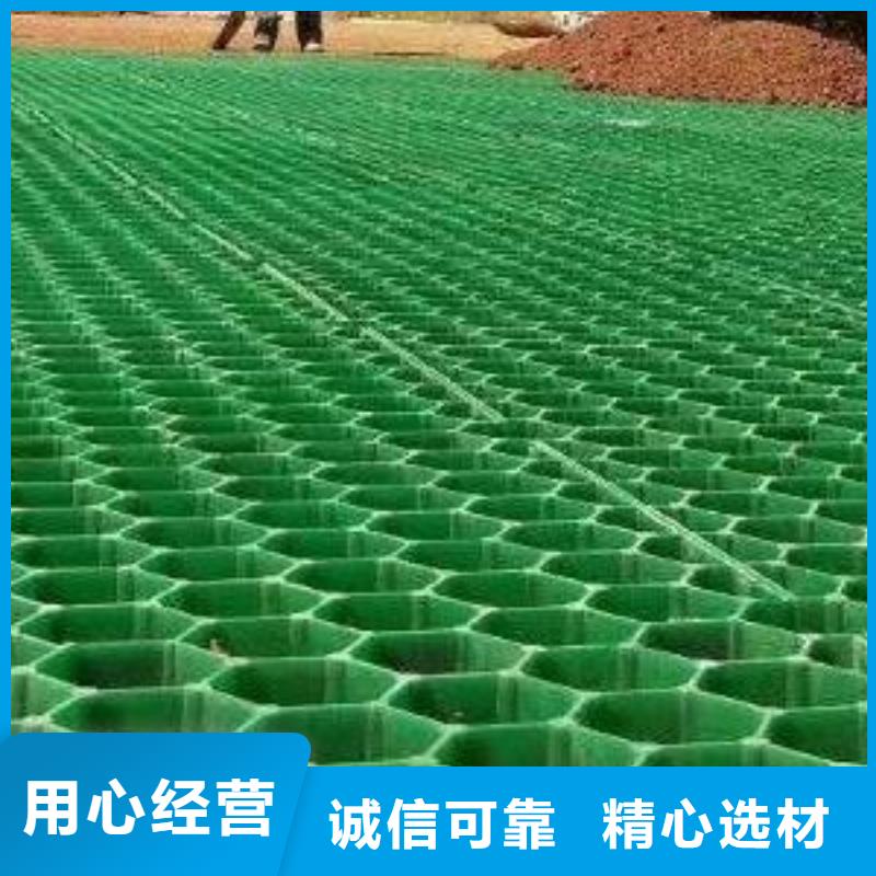 植草格【防护虹吸排水收集系统】现货齐全售后无忧