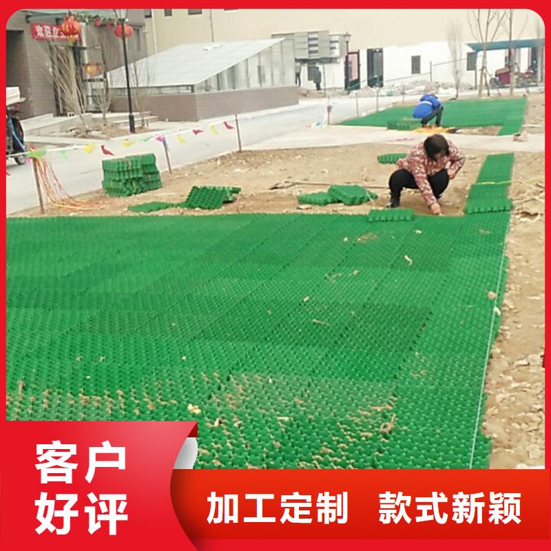 【植草格】水泥化粪池支持定制加工