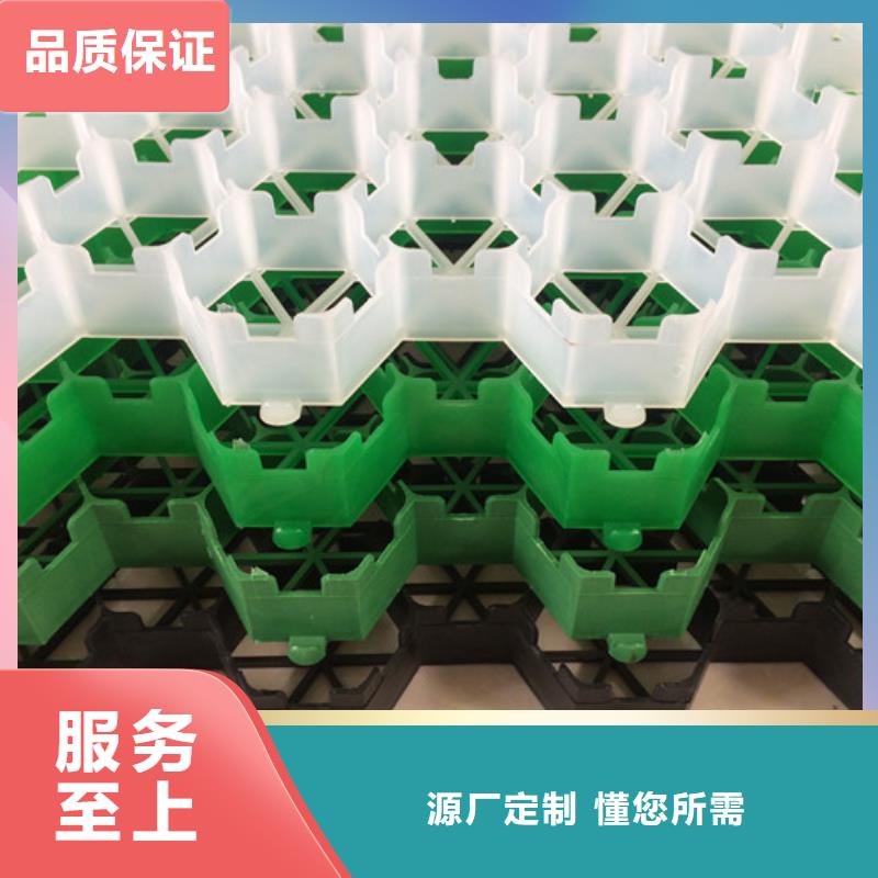 塑料植草格型号全-新品发售