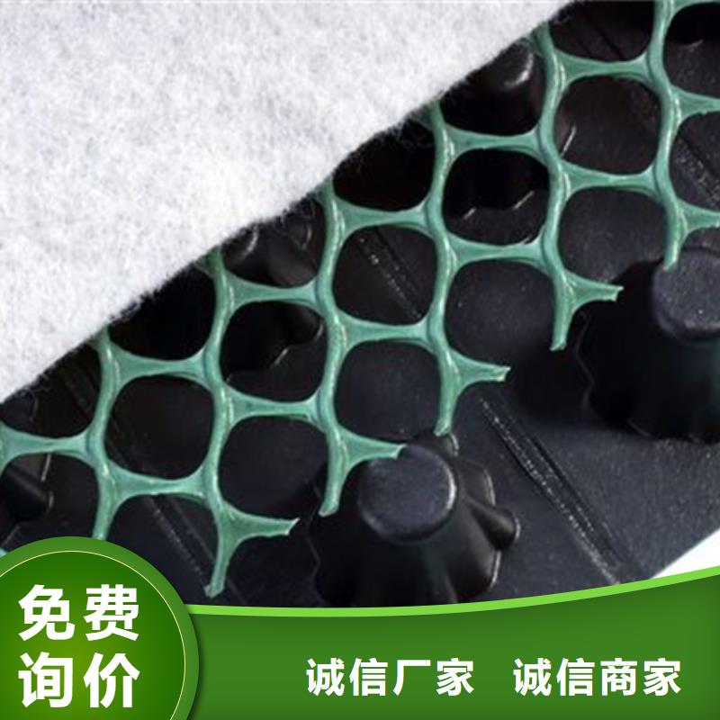 塑料排水板【排水板】重信誉厂家-朋联工程材料(来宾市分公司)|覆盖地域忻城|武宣|钦州|百色|贵港|北海