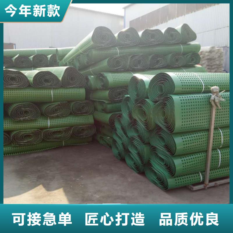 塑料排水板【排水板】重信誉厂家-朋联工程材料(来宾市分公司)|覆盖地域忻城|武宣|钦州|百色|贵港|北海