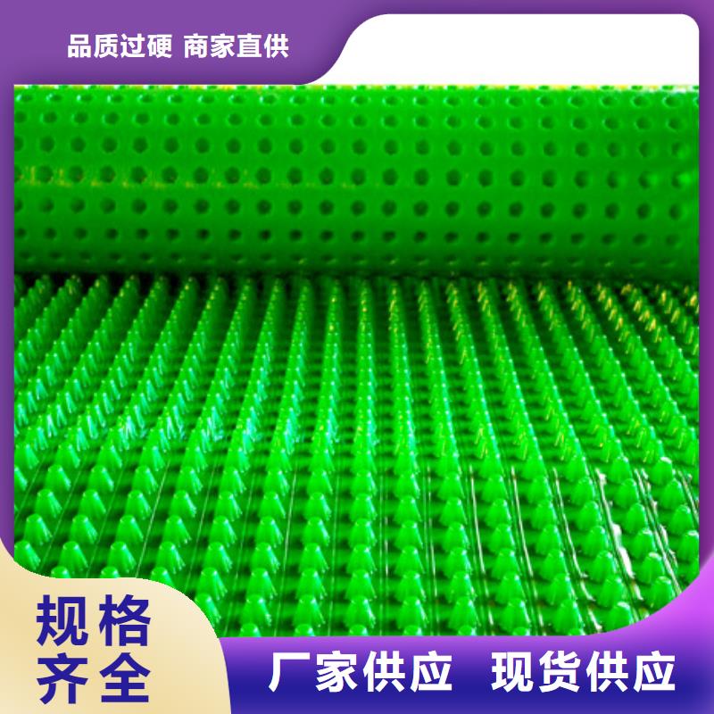 塑料排水板【排水板】重信誉厂家-朋联工程材料(来宾市分公司)|覆盖地域忻城|武宣|钦州|百色|贵港|北海