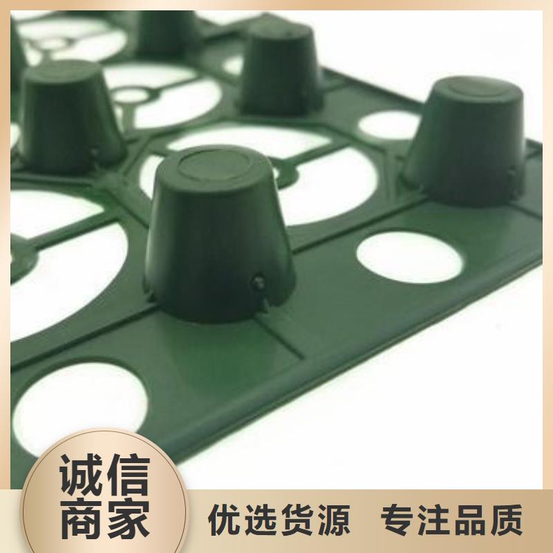 【塑料排水板】,水泥化粪池质量优选-可发货到浮梁|昌江|宜春|新余|南昌|赣州|吉安