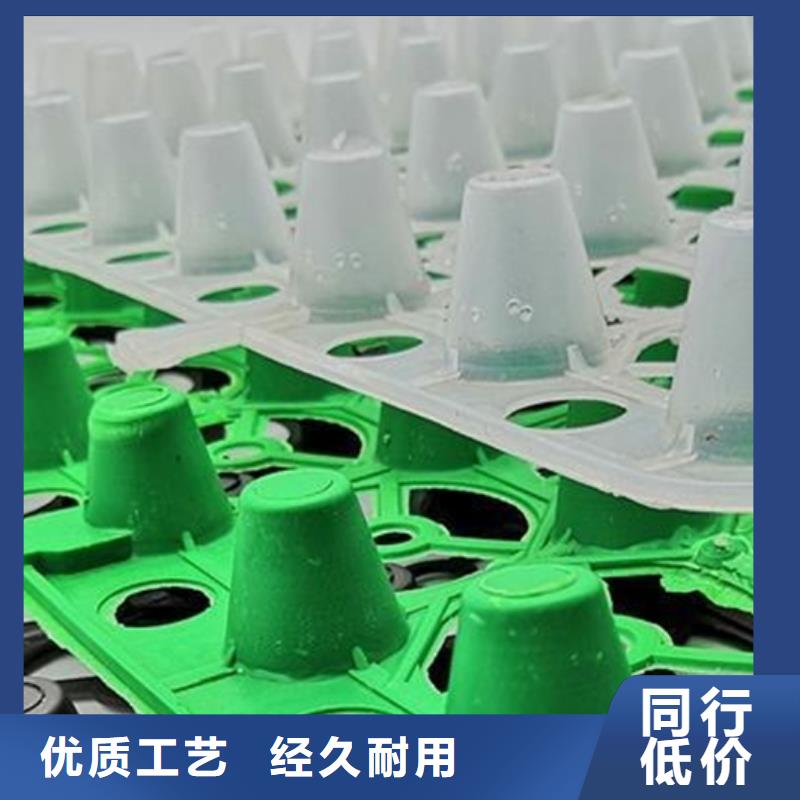 【塑料排水板】,水泥化粪池质量优选-可发货到浮梁|昌江|宜春|新余|南昌|赣州|吉安