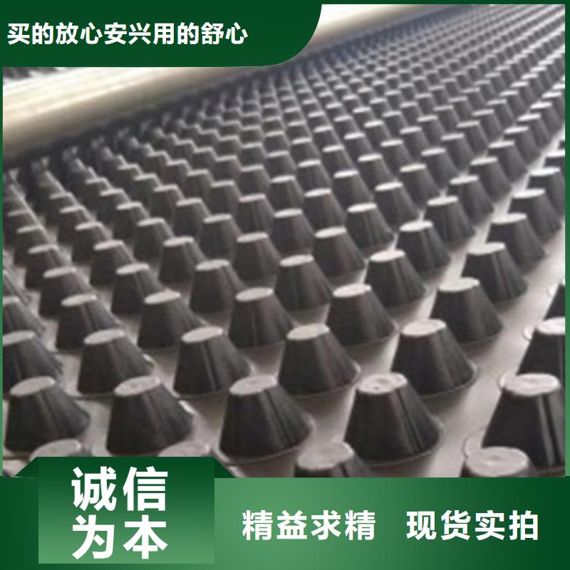 塑料排水板【排水板】重信誉厂家-朋联工程材料(来宾市分公司)|覆盖地域忻城|武宣|钦州|百色|贵港|北海