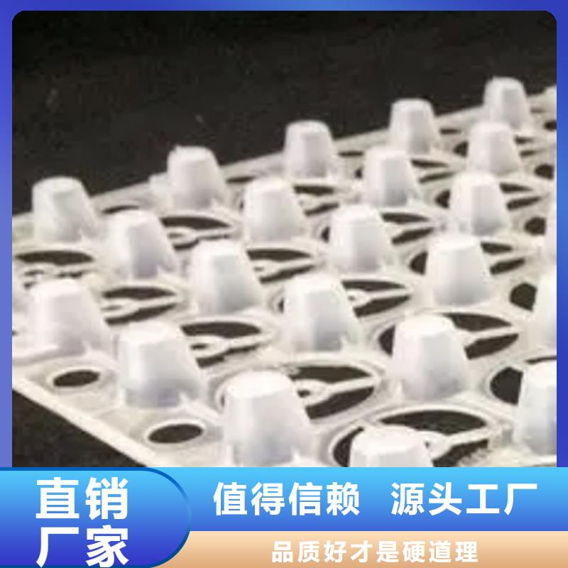 【塑料排水板】_ 植草格每一处都是匠心制作