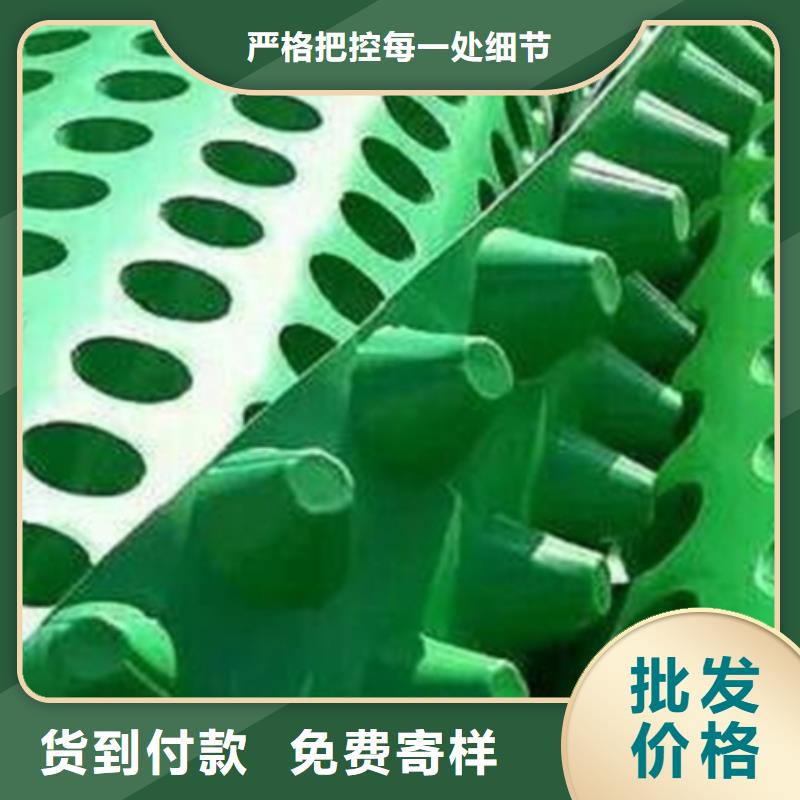 塑料排水板【排水板】重信誉厂家-朋联工程材料(来宾市分公司)|覆盖地域忻城|武宣|钦州|百色|贵港|北海