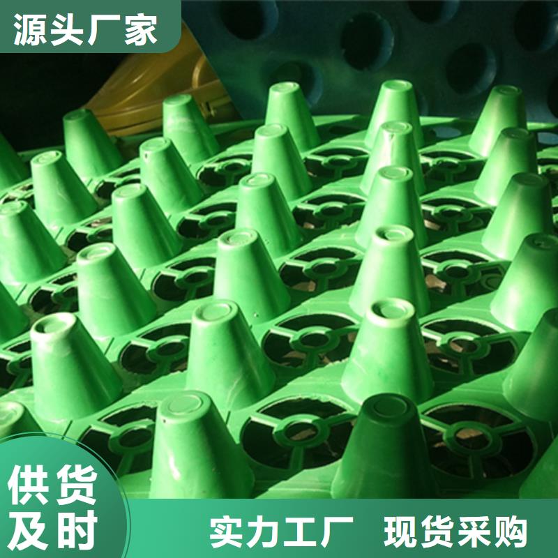 【塑料排水板】_ 植草格每一处都是匠心制作