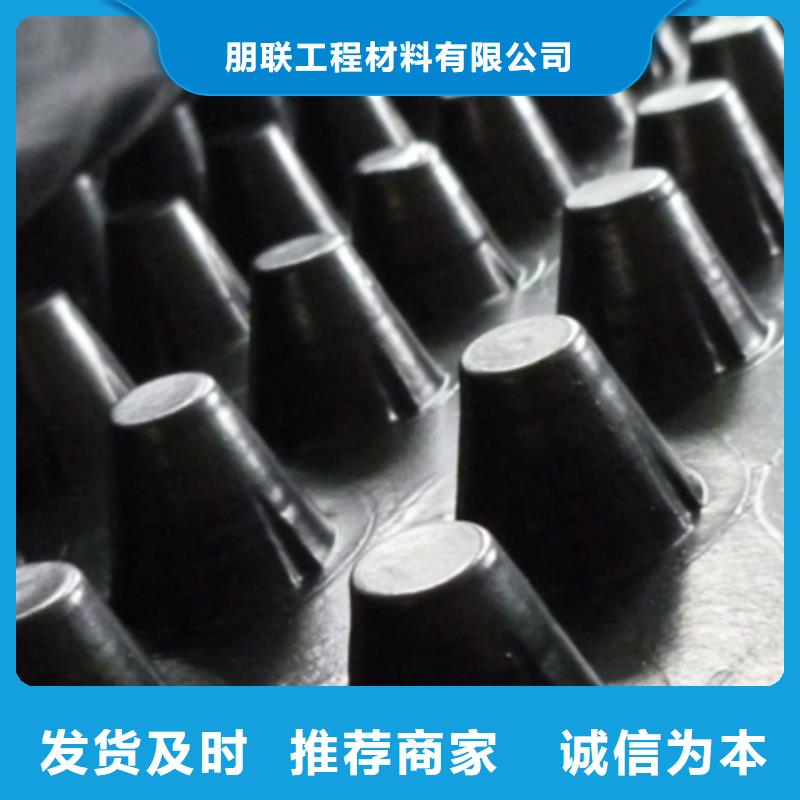 【塑料排水板】,水泥化粪池质量优选-可发货到浮梁|昌江|宜春|新余|南昌|赣州|吉安